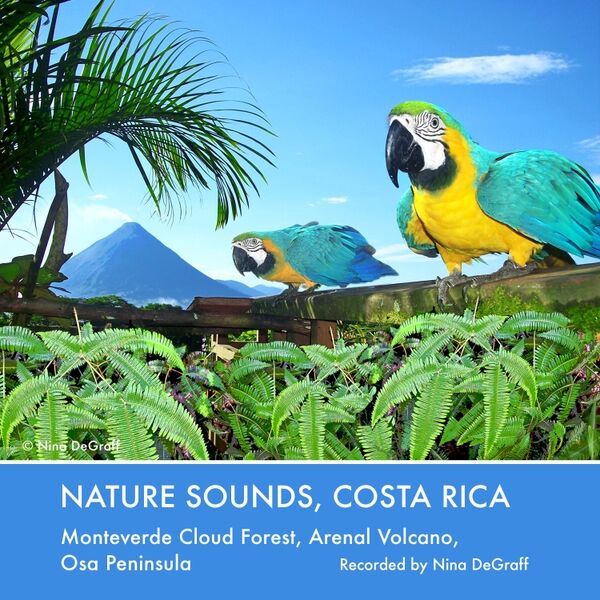 Cover art for Nature Sounds, Costa Rica: Monteverde Cloud Forest, Arenal Volcano, Osa Peninsula