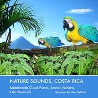 Nature Sounds, Costa Rica: Monteverde Cloud Forest, Arenal Volcano, Osa Peninsula