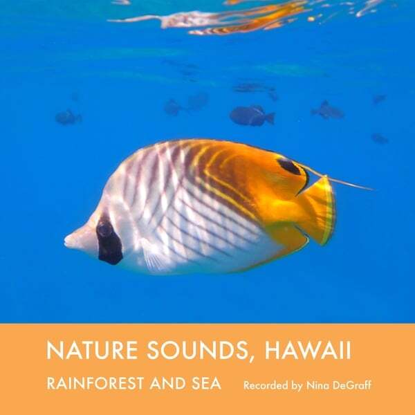 Cover art for Nature Sounds, Hawaii: Rainforest and Sea