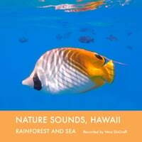 Nature Sounds, Hawaii: Rainforest and Sea